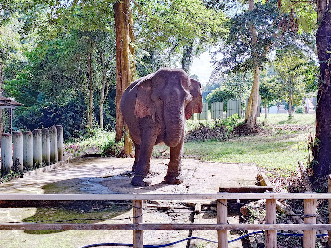 Thác Dray Sáp - Gia Long 3