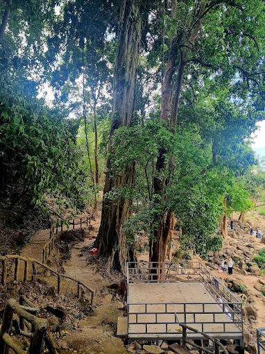 Thác Dray Sáp - Gia Long 4