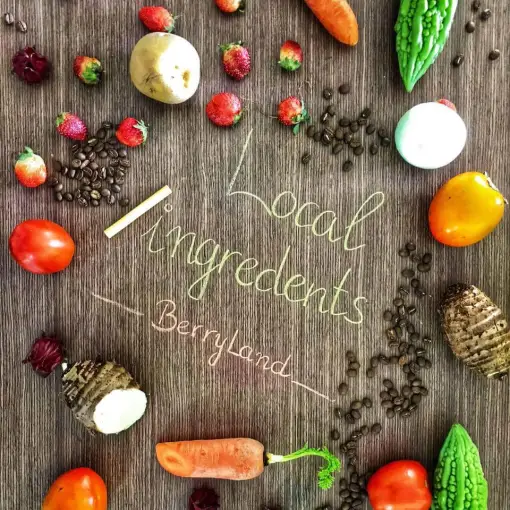 Berryland Đặc sản Đà Lạt