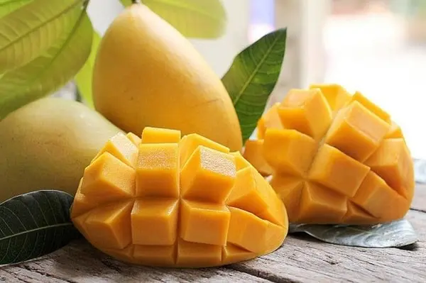 Berryland Đặc sản Đà Lạt 4