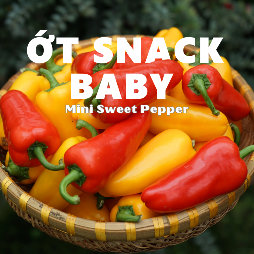 Langbiangfarm Nông sản đặc sản Đà Lạt 3