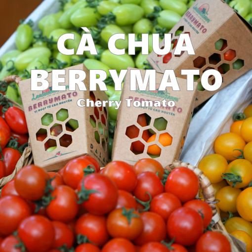 Langbiangfarm Nông sản đặc sản Đà Lạt 4