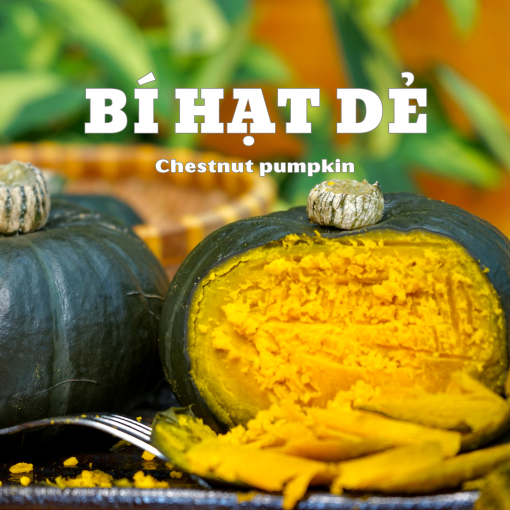 Langbiangfarm Nông sản đặc sản Đà Lạt 5