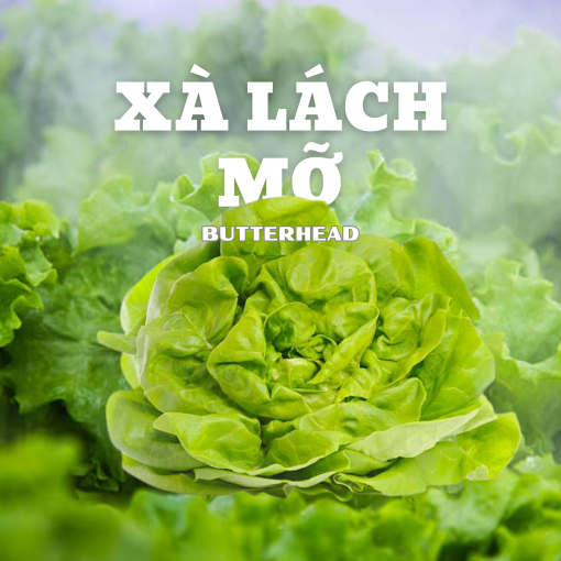 Langbiangfarm Nông sản đặc sản Đà Lạt 6