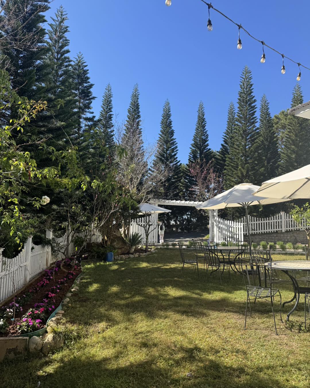 Maison the sunny Villa Đà lạt 7