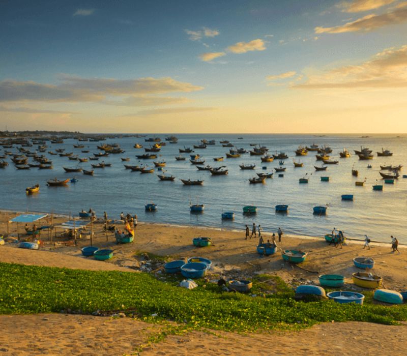 Mũi Yến Bình Thuận – Thiên đường xanh lý tưởng 3