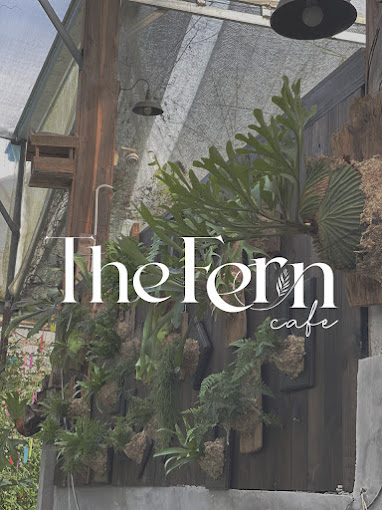 The Fern -Tiệm cây dương xỉ Đà Lạt