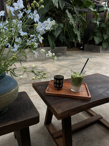 The Fern -Tiệm cây dương xỉ Đà Lạt 2