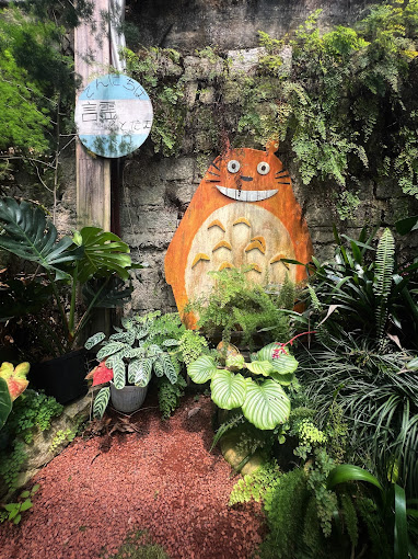 The Fern -Tiệm cây dương xỉ Đà Lạt 3