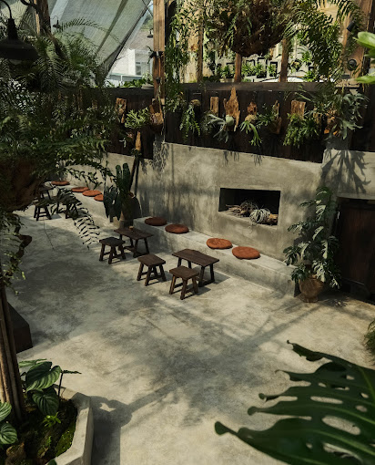 The Fern -Tiệm cây dương xỉ Đà Lạt 5