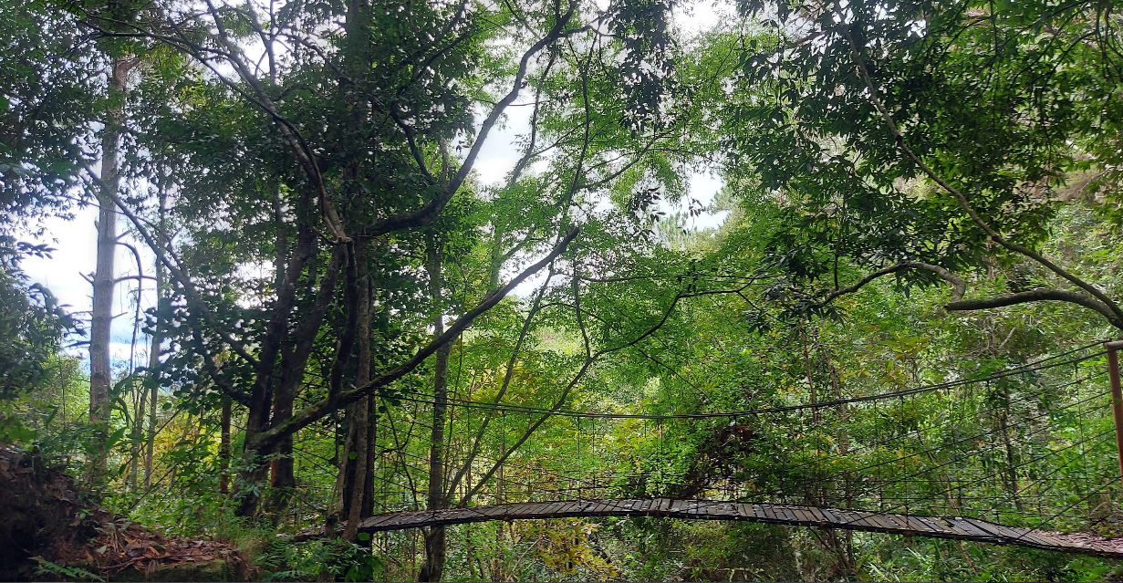 Vườn Quốc gia Bidoup Núi Bà 2