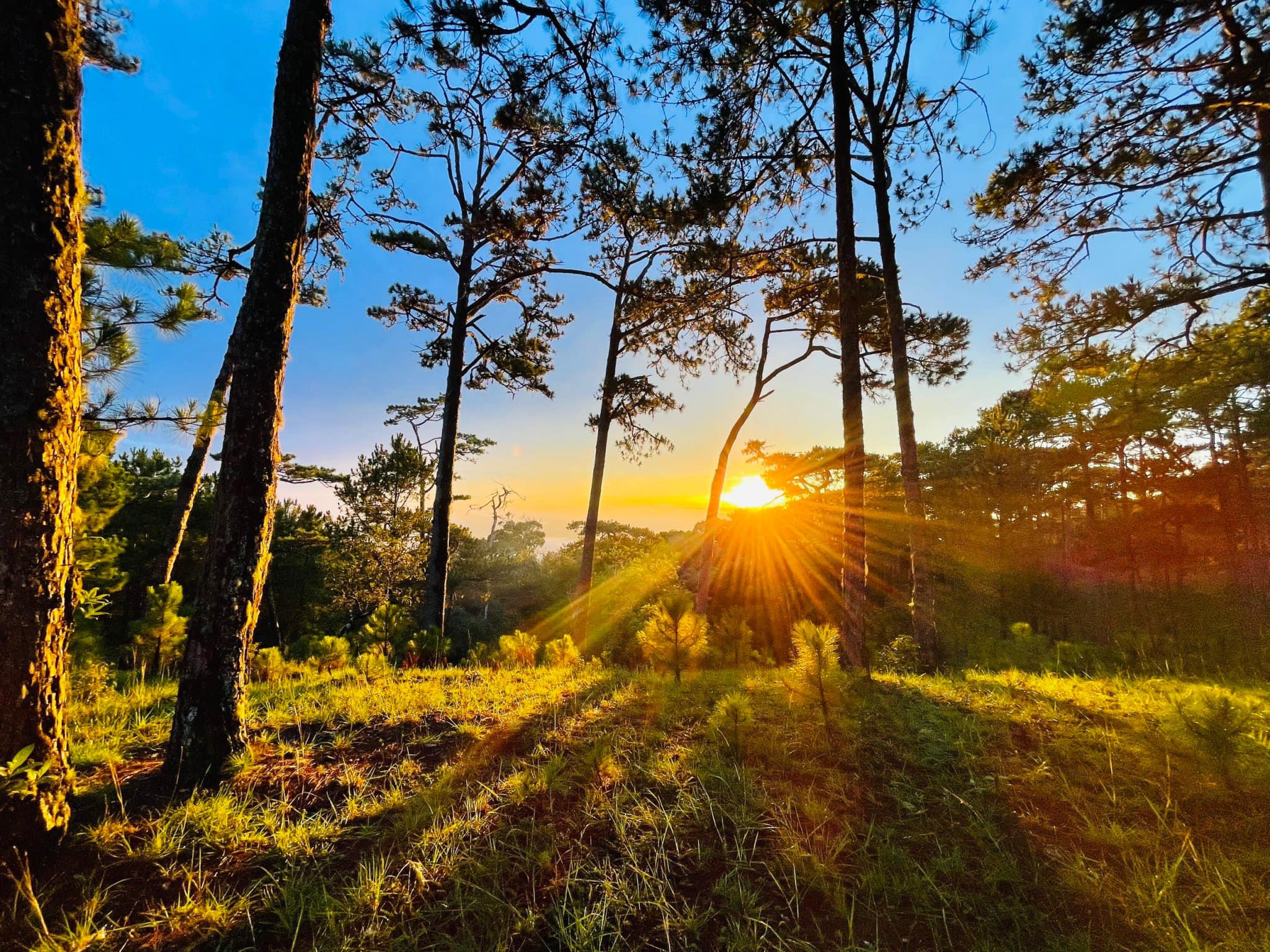 Vườn Quốc gia Bidoup Núi Bà 3