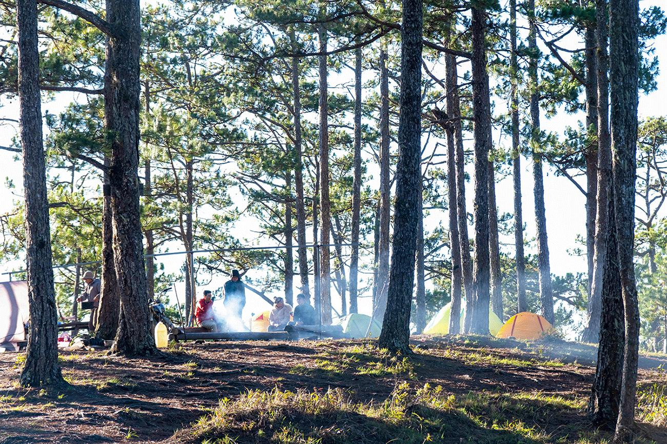 Vườn Quốc gia Bidoup Núi Bà 4