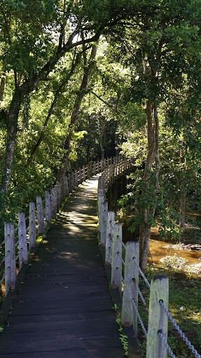 Vườn quốc gia Cát Tiên Lâm Đồng 3