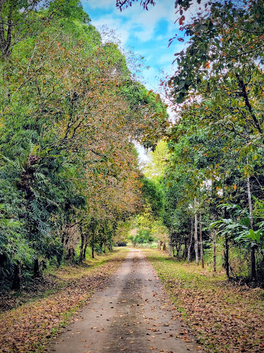 Vườn quốc gia Cát Tiên Lâm Đồng 4