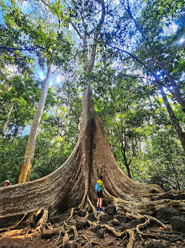 Vườn quốc gia Cát Tiên Lâm Đồng 6