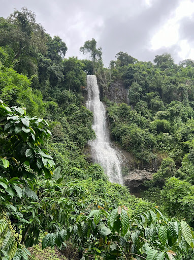 Vườn quốc gia Tà Đùng Đắk Nông 5