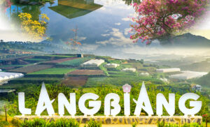 Khám phá Đà Lạt – Thành phố ngàn hoa – Lâm Đồng Guide