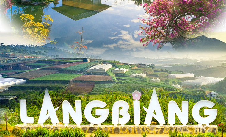 Khám phá Đà Lạt – Thành phố ngàn hoa – Lâm Đồng Guide